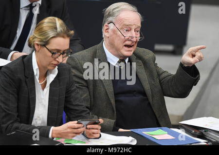 Berlin, Deutschland. 23. März 2018, Berlin, Deutschland. 22 März 2018, Deutschland, Berlin: Alice Weidel und Alexander Gauland der Alternative für Deutschland (AfD) sitzen im Deutschen Bundestag. Das Parlament diskutiert häusliche, Entwicklung und innere Angelegenheiten. Foto: Christophe Kirschtorte/dpa Quelle: dpa Picture alliance/Alamy leben Nachrichten Stockfoto