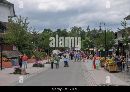 Titisee, Neustadt, (Schwarzwald Schwarzwald), Baden-Württemberg, Deutschland Stockfoto