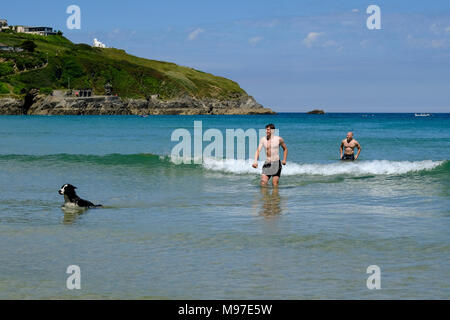 Genießen Sie den Strand mit einem Hund Stockfoto