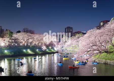 Nacht Blick auf massive Kirsche Blüte mit Tokyo City als Hintergrund. Bei Chidorigafuchi, Tokio, Japan Photoed. Stockfoto