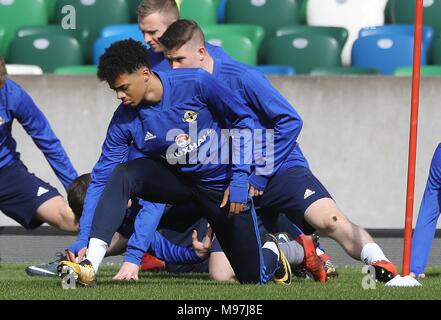 Nordirlands Jamal Lewis während des Trainings im Windsor Park, Belfast. Stockfoto