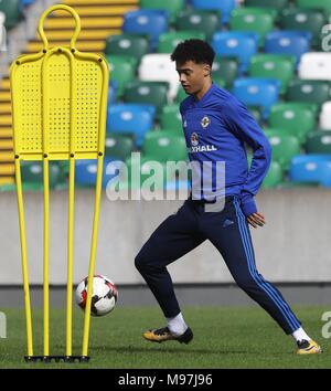 Nordirlands Jamal Lewis während des Trainings im Windsor Park, Belfast. Stockfoto