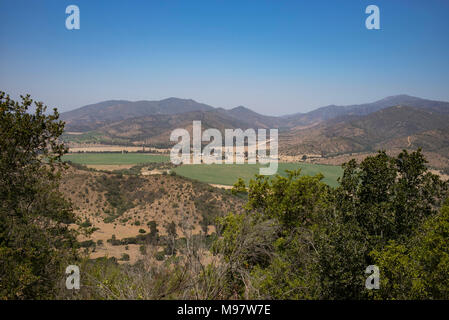 Matetic Weinberg in El Rosario Valley, Chile. Stockfoto