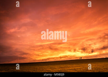 Österreich, Oberösterreich, Wanderer auf Wiese bei Sonnenuntergang Stockfoto