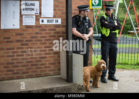 Sonning, UK. 8. Juni 2017. Polizisten Suchen nach einem Hund für seine Eigentümer außerhalb Premierminister Theresa's können lokale Wahllokal in Sonning. Stockfoto