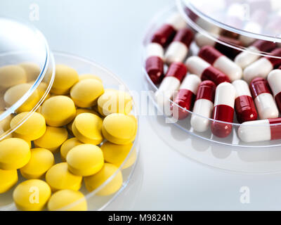 Medizin in Petrischalen Stockfoto