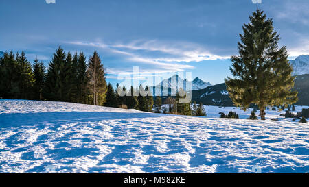 Deutschland, Bayern, Oberbayern, Garmisch-Partenkirchen, Werdenfelser Land, Hump-Wiese im Winter Stockfoto