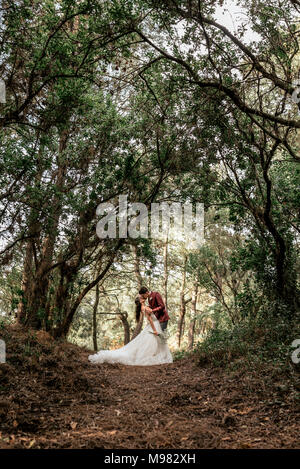 Braut und Bräutigam küssen sich leidenschaftlich unter großen Bäumen im Wald Stockfoto