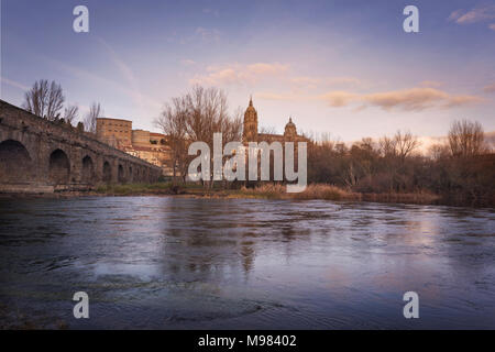 Spanien, Kastilien und Leon, Salamanca, Blick auf die Stadt und die Kathedrale, Rio Tormes Stockfoto