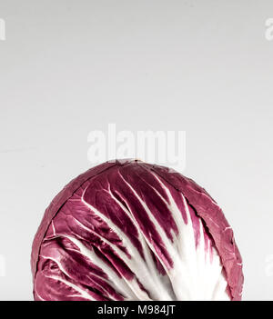 Isolierten roten Chicoree auf weißem Hintergrund Stockfoto