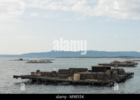 Mussel Aquakultur Flöße, Batea, in Arousa Mündung, Galizien, Spanien Stockfoto