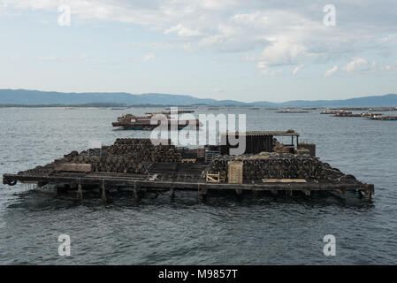 Mussel Aquakultur Flöße, Batea, in Arousa Mündung, Galizien, Spanien Stockfoto