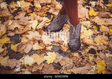 Frau aus Leder Schuhe, stehend auf Blätter im Herbst, Teilansicht Stockfoto