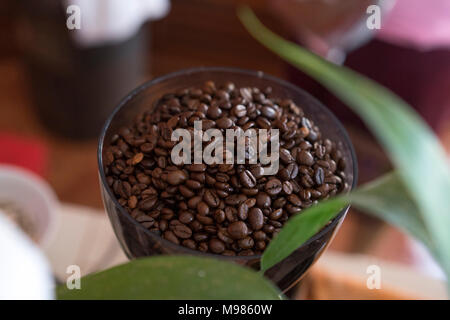 Geröstete Kaffeebohnen Stockfoto