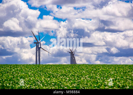 Wind Strom Generatoren auf einem Hügel sitzen. Im östlichen Oregon. Stockfoto