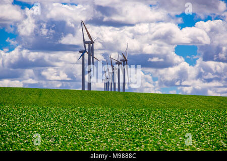 Wind Strom Generatoren auf einem Hügel sitzen. Im östlichen Oregon. Stockfoto