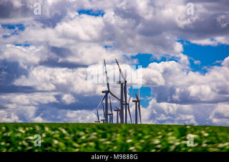 Wind Strom Generatoren auf einem Hügel sitzen. Im östlichen Oregon. Stockfoto