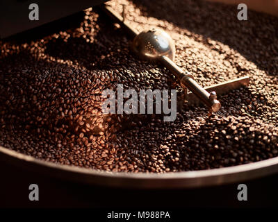 Geröstete Kaffeebohnen im Zylinder Kühlung Stockfoto