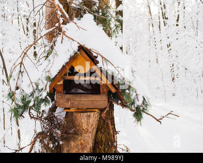 Photo Feeder mit Schnee auf Baum am Nachmittag Stockfoto