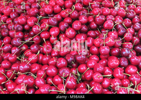 Frische Kirschen im freien Markt in Jerusalem. Stockfoto