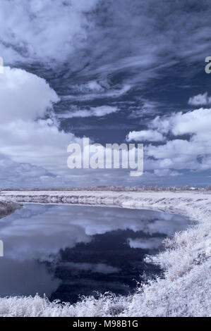 Infrarot Bild über den Fluss Parrett mit Wolken im Wasser widerspiegelt, in der Nähe von Langport in Somerset auf der Somerset Levels Stockfoto