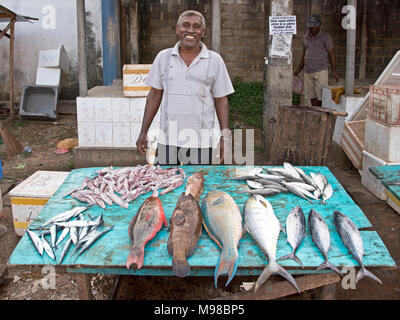 Fischmarkt in Dodanduwa mit einem glücklichen Lächeln lokaler Mann männlich verkaufen Fische aus der Seite der Straße. Stockfoto