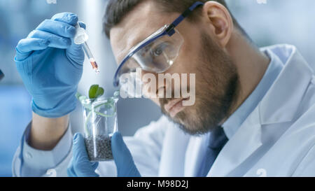 In einem modernen Labor Essen Wissenschaftler führt Experimente durch die Synthese von Verbindungen mit der Tropferspitze und Anlagen in einem Reagenzglas. Stockfoto