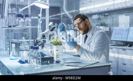 In einem modernen Labor Forschung Wissenschaftler führt Experimente durch die Synthese von Verbindungen mit der Tropferspitze und Anlagen in einem Reagenzglas. Stockfoto