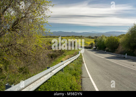 Straße, die in der grünen Landschaft Landschaft im Frühling Paphos, Paphos, Zypern, Mittelmeer Stockfoto