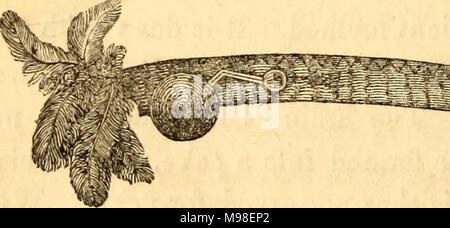 "Jahresbericht des Regenten von der Universität auf den Zustand der Kabinett der Naturgeschichte und der historischen und antiquarischen Sammlung beigefügten' (1850) Stockfoto