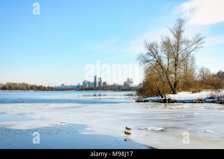 Blick auf Weiden und Pappeln in der Nähe des gefrorenen Fluss Dnepr in Kiew im Winter. Hohe Gebäude im Hintergrund. Stockfoto