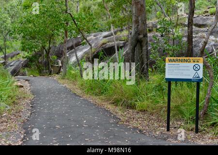 Warnung Achtung Zeichen für kein Tauchen Sie in den Pool an der Felssturz in großen crystal Creek, Crystal Creek QLD 4816, Paluma Range National Park, Australien Stockfoto