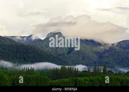 Ein Blick auf die Mangroven und der Hügel war am Morgen bedeckt. Stockfoto
