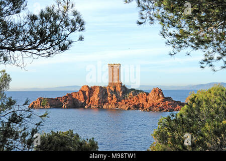 Die goldene Insel L'Ile d'Or in der Nähe von St Raphaël Stockfoto