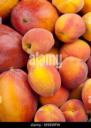 Gruppe von frischen Pfirsichen oder Mangos Hintergrund der Ansicht von Oben Stockfoto