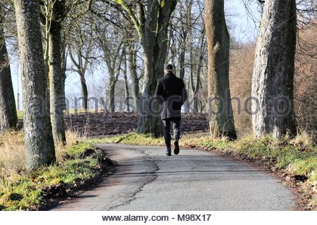 Ein junger Mann geht durch eine Allee der Bäume an einem hellen Tag in Deutschland. Kredit reallifephotos/Alamy Stockfoto