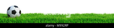 Fußball auf Gras auf weißem Hintergrund 3D Rendering isoliert Stockfoto