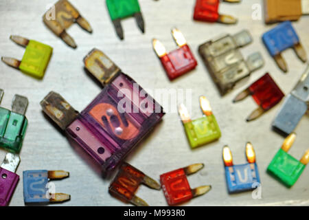 Kraftfahrzeugsicherungen kommen in verschiedenen Farben und jede Farbe ist verantwortlich für den besonderen Wert der Schutz in Ampere definiert. Stockfoto
