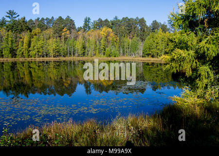Herbst Farben reflektieren an einer ruhigen Bucht des Lake Itasca, Quellgebiet der Schweinestall Mississippi River Stockfoto
