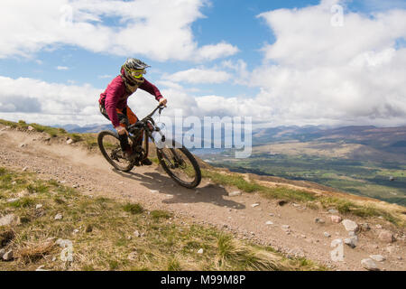 Mountainbiker auf Downhill Trail, Nevis Range, Fort William, Schottland, UK Stockfoto