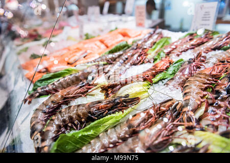 Nahaufnahme des Großen raw dark red Garnelen Garnele krustentier Languste Langusten Fisch und Meeresfrüchte stehen auf Eis im frischen Markt hinter Glas in Store, Shop Stockfoto