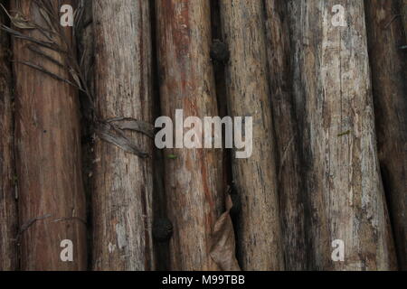 Bambus wand Textur Hintergrund. Holz- Textur Stockfoto