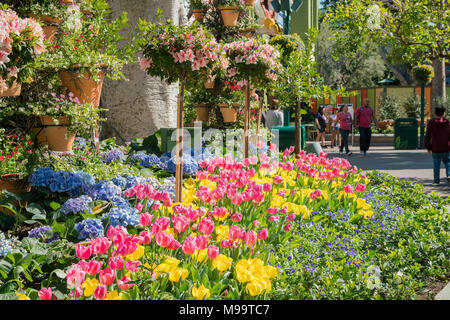 Los Angeles, FEB 18: schöne Läden in Downtown Disney District am 18.Februar, 2018 in Los Angeles Stockfoto