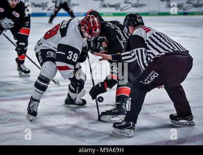 Deutschland, NŸrnberg, Arena NŸrnberger Versicherung, 23.03.2018, Eishockey - DEL Playoffs Viertelfinale, Spiel 5 - Thomas Sabo Ice Tigers vs. Kšlner Haie - Bild: Face off nach einem NŸrnberg Vereisung. Foto: HMB Medien/Ryan Credit: Ryan Evans/Alamy leben Nachrichten Stockfoto