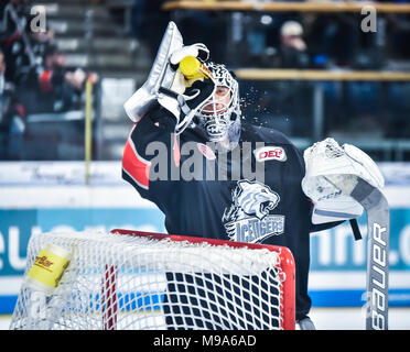 Deutschland, NŸrnberg, Arena NŸrnberger Versicherung, 23.03.2018, Eishockey - DEL Playoffs Viertelfinale, Spiel 5 - Thomas Sabo Ice Tigers vs. Kšlner Haie - Bild: TorhŸter Niklas Treutle (Ice Tigers, #31) nimmt einen Drink nach einem Sahnehäubchen. Foto: HMB Medien/Ryan Credit: Ryan Evans/Alamy leben Nachrichten Stockfoto