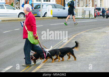 Weymouth, Großbritannien. 24. März, 2018. Menschen nutzen das milde, trockene Wetter ihre Hunde zu trainieren und sich auf die Weymouth Strandpromenade Credit: stuart Hartmut Ost/Alamy leben Nachrichten Stockfoto