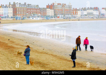 Weymouth, Großbritannien. 24. März, 2018. Menschen nutzen das milde Wetter am Strand von Weymouth, am letzten Tag vor dem Hund Zugang für die Ferienzeit Credit eingeschränkt ist: stuart Hartmut Ost/Alamy leben Nachrichten Stockfoto