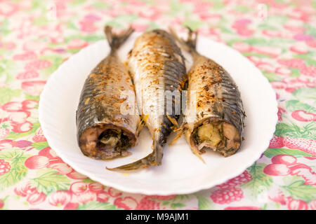 Drei gebackenen Fisch auf einem weißen Teller. Gesundes Essen, Fisch und Meeresfrüchte. Makrele. Stockfoto