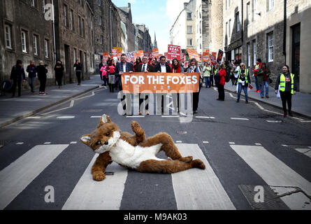 Demonstranten während eines marsches auf der Royal Mile in Edinburgh, organisiert von der League Against Cruel Sports, OneKind und IFAW, die ein "echtes" Verbot der Fuchsjagd forderten. Stockfoto