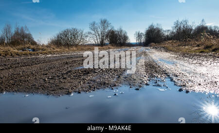 Off-road Track Close-up mit reifen Abdrucke. Sun Reflexion in der Pfütze. Sonnige frühling landschaft und schlammigen Pfad in verlassenen militärischen Bereich. Bäume, blauer Himmel. Stockfoto